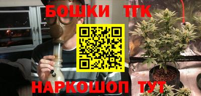МДПВ Пугачёв