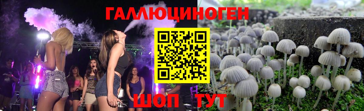 Протвино  Галлюциногенные грибы Psilocybine cubensis  Псилоцибиновые грибы GOLDEN TEACHER  Вход с VPN 