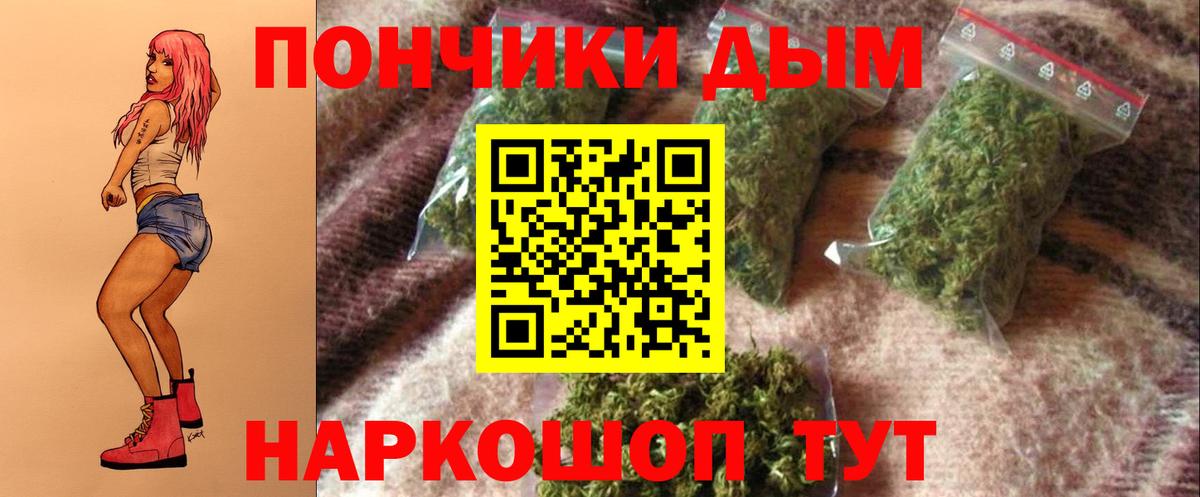 Протвино  Бошки марихуана планчик  Марихуана тримм  Бошки марихуана Amnesia  Вход с VPN 